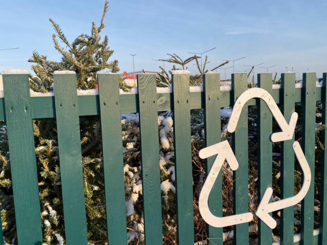 Звезда Новогодней Ночи