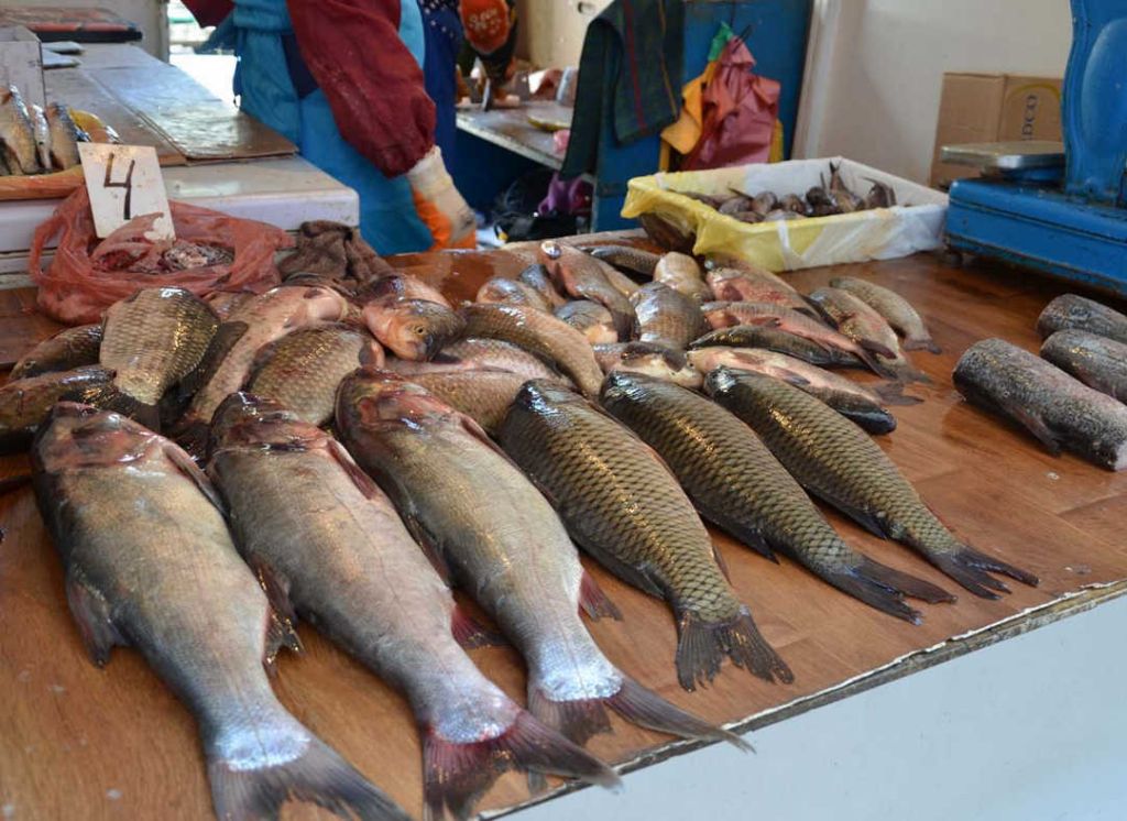 Рыбный рынок в Хабаровске. Пресноводная рыба на рынке. Рыба в Дону. Карп на рынке. Купить свежую живую рыбу